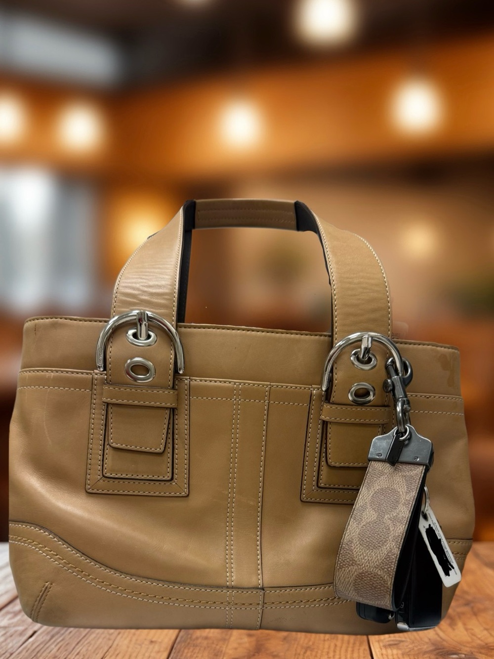 Coach Current Carry(s) - Picture 2 of 3